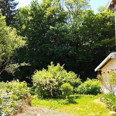 Les Glycines, Un Air De Campagne A La Ville Besançon Exteriör bild